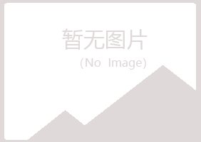 象山县字迹咨询有限公司